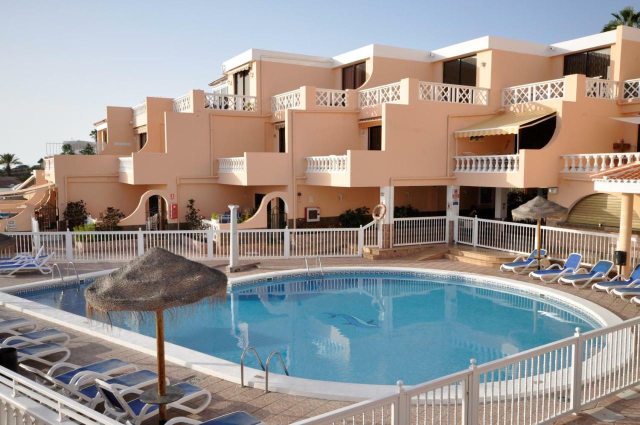 Paradise Court Las Americas Wifi Pool 29 아데제 외부 사진